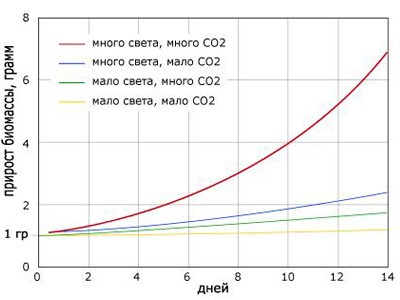 CO2